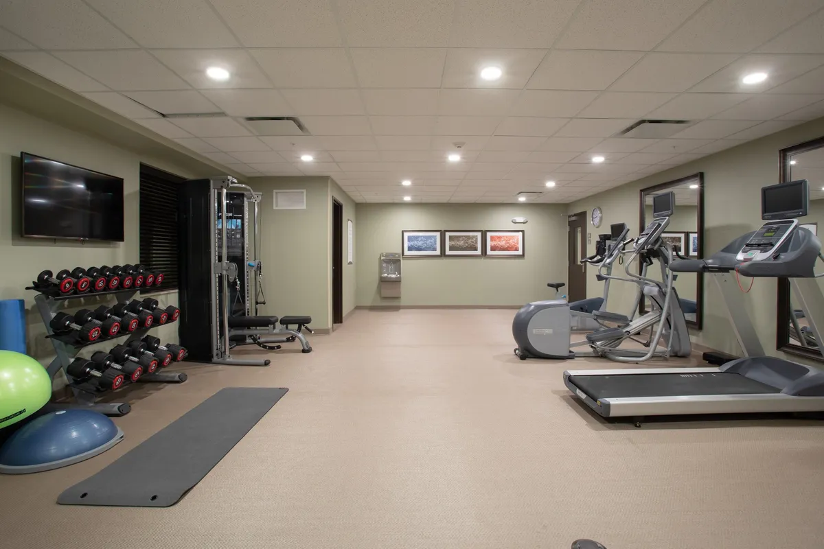 A bright and well-equipped fitness center, showcasing a range of modern equipment like dumbbells, treadmills, elliptical machines, and mats. The space is energized by natural light, with wall art adding a touch of style, and guests can be seen engaging in various workout routines.